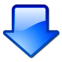 download_manager